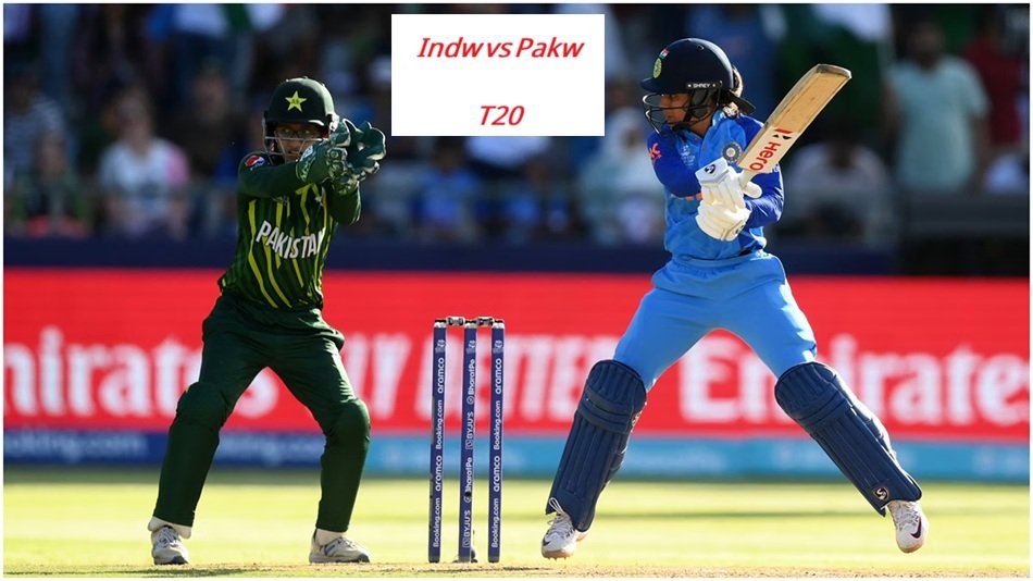 indw vs pakw t20